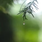 Nguoi Ra Di Nguyen Si kha • Rainy Day Memories • 2023